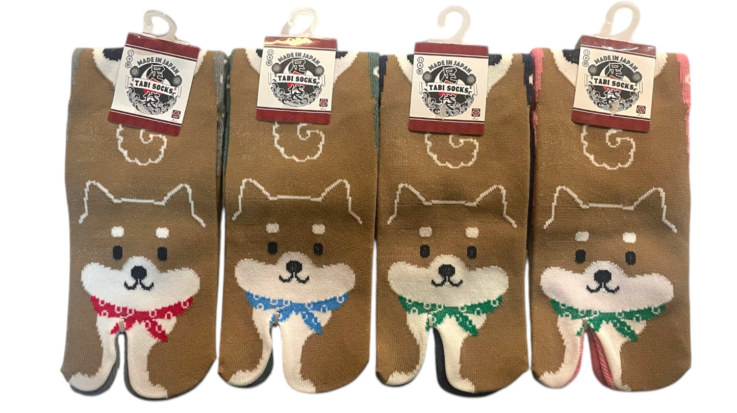 Box TABIMU 34-40 (Prix de lancement -20% jusqu'au 30/11/25)