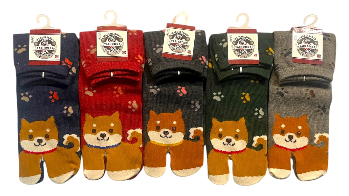 Box TABIMU 40-45 (Prix de lancement -20% jusqu'au 30/11/25)