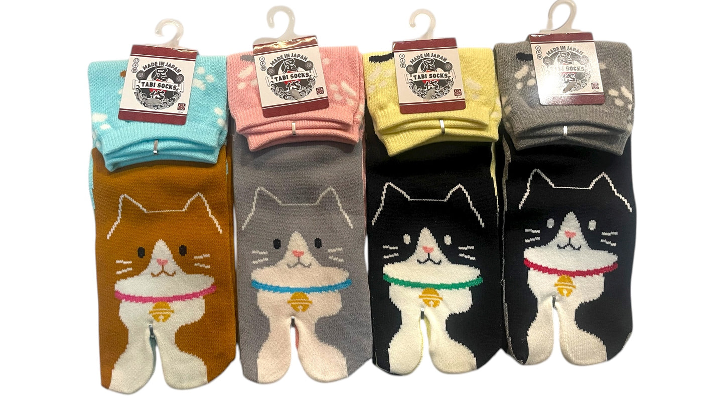 Box TABIMU 34-40 (Prix de lancement -20% jusqu'au 30/11/25)